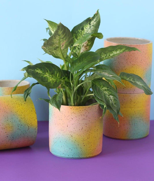 Color Cloud Planter - MINX Factory