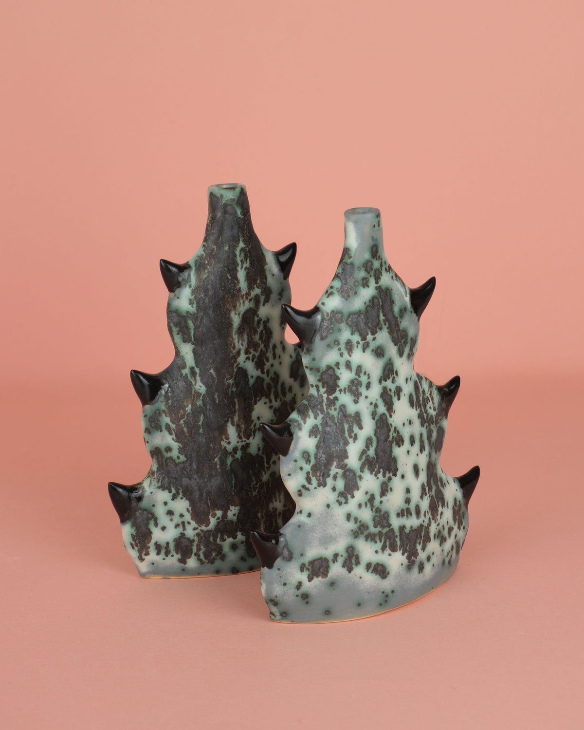 Cactus Vase